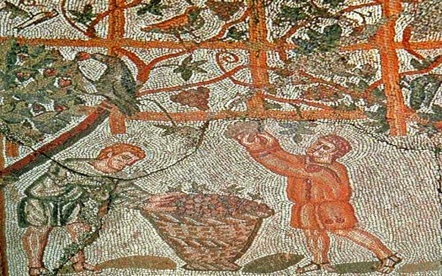 Сельскохозяйственное виноделие в Древнем Риме