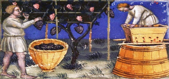 Средневековые виноградари и террасы